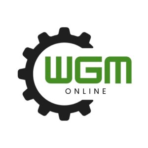 Worm gear motors