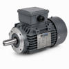 0.55/0.45kW 2/4 Pole 2 Speed Motor - Constant Torque