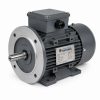 0.55/0.45kW 2/4 Pole 2 Speed Motor - Constant Torque