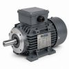 0.55/0.45kW 2/4 Pole 2 Speed Motor - Constant Torque